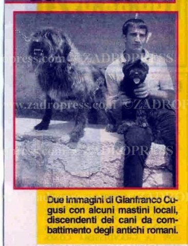 mastini fonnesi CINQUE
